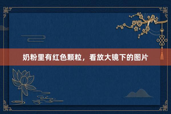 奶粉里有红色颗粒，看放大镜下的图片