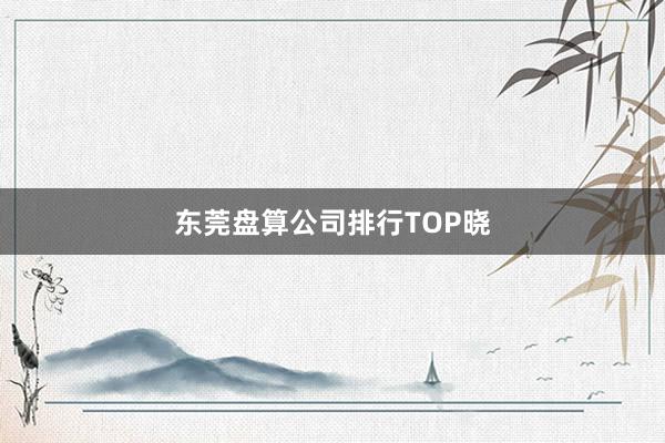 东莞盘算公司排行TOP晓